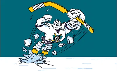 Anaheim Ducks
