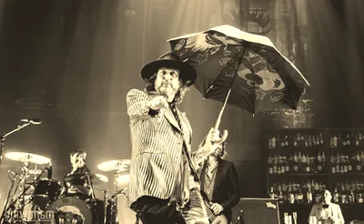 The Black Crowes