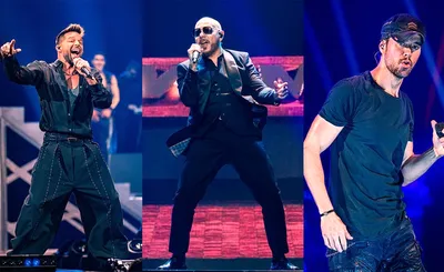 Pitbull