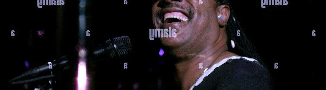 Stevie Wonder