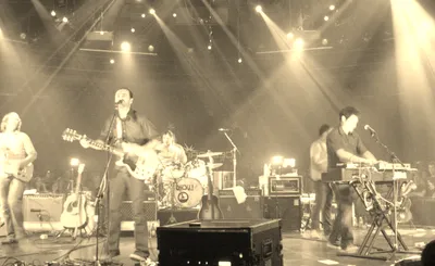 The Shins